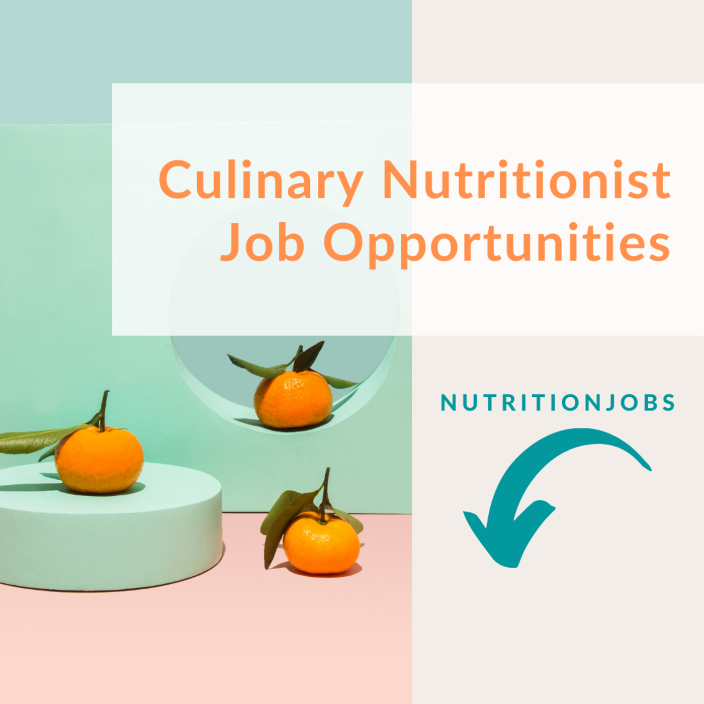 Culinary Nutritionist Entrepreneur Job Opportunities NutritionJobs